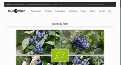 Desktop Screenshot of blueamber.pl