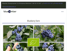 Tablet Screenshot of blueamber.pl